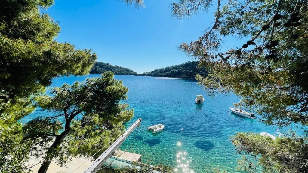 Lovely Apartments On The Private Beach - Island Korcula Prizba Exterior foto